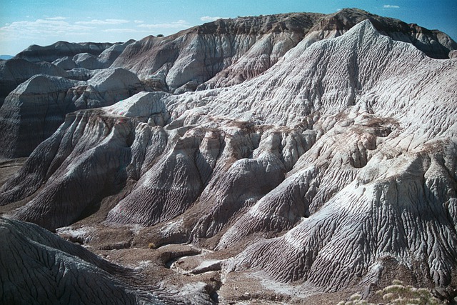 Mesa
